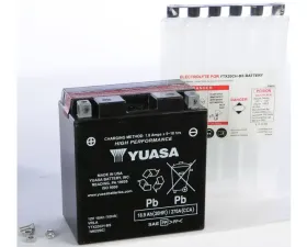 Yuasa Maintenance Free YTX20CH-BS Battery